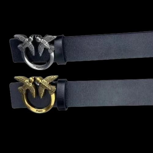 AMRI Belt - Image 2